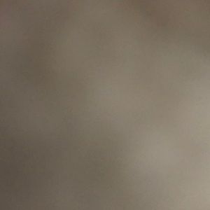 Meet your Posher, Jillian